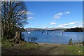 SD3896 : Boats moored on the west side of Windermere by DS Pugh