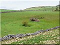 SK1773 : A dry pond and a ruined field barn by Ian Calderwood