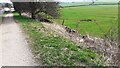 SD9553 : View SE along Leeds & Liverpool Canal towpath NW of Thorlby by Roger Templeman