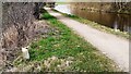 SD9553 : Looking NW along the Leeds and Liverpool Canal as it passes Robin Wood by Roger Templeman