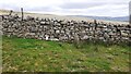 SD9091 : View of rough moorland over dry stone wall at east side of Maze Pasture by Roger Templeman