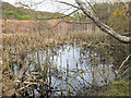 NG7527 : Boggy ground by the railway by Jim Barton