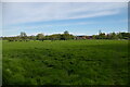 TM3675 : Pasture in the valley north of Walpole Old Hall by Christopher Hilton