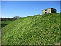 SE6183 : A  mass  of  Primroses  on  the  defensive  slope by Martin Dawes