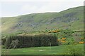 NS6379 : Crags on the Campsies by Richard Sutcliffe