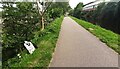 SE2833 : Looking SE along Leeds & Liverpool Canal towards Spring Gardens Lock by Roger Templeman