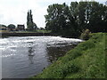 SE5325 : The Weir at Beal by David Brown