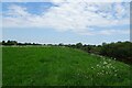 SE5841 : River bank path near Acaster Selby by DS Pugh