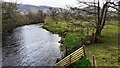 NY2523 : River Derwent viewed from south end of suspension bridge by Roger Templeman