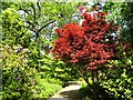 TQ0658 : RHS Wisley by Colin Smith