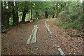 SX7878 : Haytor Granite Tramway, Yarner Wood by Derek Harper