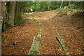 SX7878 : Haytor Granite Tramway, Yarner Wood by Derek Harper