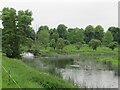 SP2556 : The River Dene waterfall entering the Avon at Charlecote Park by Roy Hughes