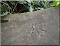 J3986 : Bench Mark, Carrickfergus by Rossographer