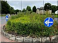 H4772 : Weed display at Cranny Roundabout by Kenneth  Allen