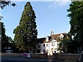 SP3167 : Giant redwood, Kenilworth Road, Leamington Spa by A J Paxton