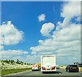 TL2467 : Ox-eye daisies at the side of the A14 by Christopher Hilton