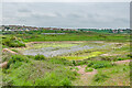 TQ4500 : Mill pond, Tide Mills by Ian Capper