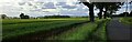 TM4162 : Evening light over the fields off Grove Road, Fristonmoor by Christopher Hilton