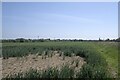  : Looking toward Billingborough by Bob Harvey