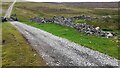 SE0394 : Track near Dent's Houses towards Castle Bolton by Roger Templeman