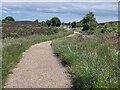 NZ2449 : Accessible path on Waldridge Fell by Oliver Dixon