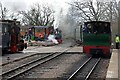 SK2406 : Statfold Barn Railway - busy at Oak Tree Halt by Chris Allen