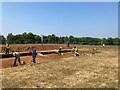 TM2849 : Time Team excavation at Sutton Hoo by Chris Holifield