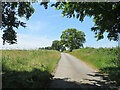 TL6055 : An East Cambridgeshire lane by John Sutton