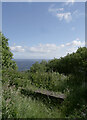 NZ9801 : A bench by The Cleveland Way, Ravenscar by habiloid