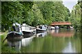 SP9908 : Grand Union Canal at Berkhamsted by David Martin