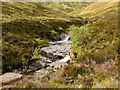 NN8179 : Native broadleaves upper Glen Bruar by AlastairG