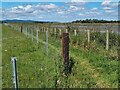 NU1335 : The King Charles III England Coast Path approaching Ross Low by Oliver Dixon