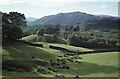 NY3101 : View to Lingmoor Fell by Philip Halling