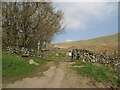 NY2635 : Gate at Longlands by Adrian Taylor