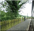 SN6479 : Capel Bangor station by Gerald England