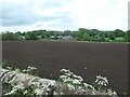 SJ8255 : Bare field, south of Lawton Hall Farm by Christine Johnstone