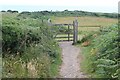 SR9793 : Pedestrian gate above Broad Haven beach by M J Roscoe