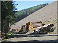 NT3538 : Timber stacks below Priesthope Hill by Jim Barton