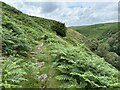 NY9826 : Mining track above Eggleston Burn by David Robinson