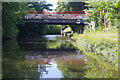 SP1084 : Grand Union Canal, Tyseley by Stephen McKay