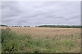 SK9932 : A field in Lincolnshire by Bob Harvey