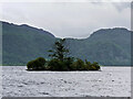 NY2521 : Otterbield Island, Derwent  Water by David Dixon