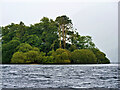 NY2621 : Derwent Water, Rampsholme by David Dixon