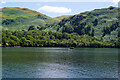 NY4119 : Ullswater, Scalehow Wood by David Dixon