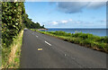 D3509 : The A2 Coast Road near Ballygalley by Rossographer