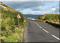 D3314 : The A2 Coast Road near Glenarm by Rossographer