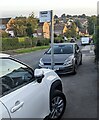 ST3090 : Bus stop sign between cars, Rowan Way, Malpas, Newport by Jaggery