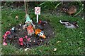 TF8108 : Swaffham, Theatre Street: An interesting front garden display with two live ducks by Michael Garlick