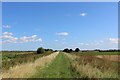 TL5189 : Hereward Way beside the New Bedford River by Chris Heaton